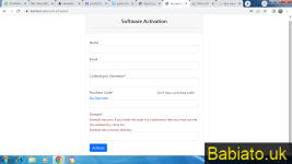 activation 2.png