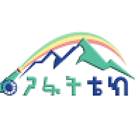 tewodrosmamo100