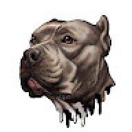 airiermonster